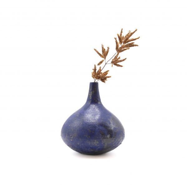 Extrasolar HD 189733b